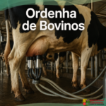 Ordenha de Bovinos