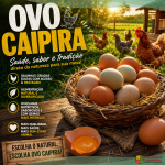 OVO CAIPIRA: SAÚDE, SABOR E PRODUÇÃO