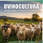 OVINOCULTURA