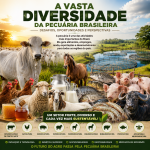 A diversidade da pecuária brasileira impulsiona economia, inovação e desenvolvimento regional